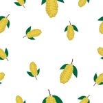 Seamless Pattern With Langsat  Illustration Stock Photo