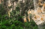 Purlingbrook Falls In Springbrook Stock Photo