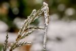 Big Icicle Stock Photo