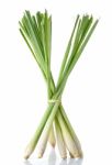 Lemon Grass Isolated On The White Background Stock Photo