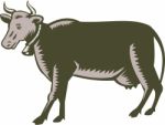 Dairy Cow Side View Woodcut Stock Photo