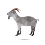 Abstract Goat Stock Photo