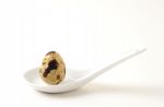 Spoon With Quail Egg Stock Photo