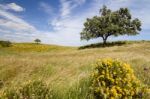 Rural Countryside Stock Photo