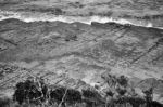 Tessellated Pavement In Pirates Bay Stock Photo