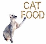 Sphynx Cat And The Inscription Of The Feed 'cat Food' Stock Photo