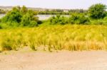 Landscape And The River Nile Suth Of Wadi Halfa In Sudan Stock Photo