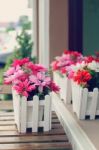 Artificial Flowers Pot Stock Photo