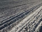 Tractor Plowed Field And Arable Land Stock Photo