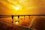 Salt Farming Stock Photo