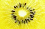 Yellow Kiwi  Stock Photo