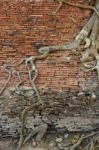 Brick Wall With Root Tree  Stock Photo