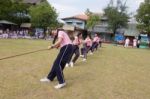 Bangkok, Thailand - Nov 2016: In The Nov 23, 2016. Youth Tug Of War, In Pieamsuwan Elementary School Stock Photo