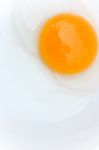 Raw Egg Stock Photo