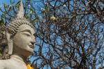 Statue Of Buddha, At Wat Yai Chai Mongkol, Ayutthaya, Thailand Stock Photo