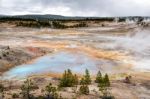 Norris Geyser Basin Stock Photo