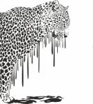 Leopard, Abstract Painting On A White Background Stock Photo