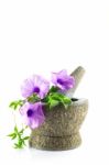 Rock Mortar With Purple Flower Plant Stock Photo