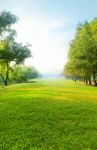 Beautiful Morning Light In Public Park With Green Grass Field An Stock Photo