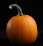 Pumpkin Stock Photo