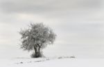 Winter Landscape Stock Photo