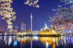 Seoul, Korea - April 9, 2015: Lotte World Amusement Park And Cherry Blossom Of Spring, A Major Tourist Attraction In Seoul, South Korea On April 9, 2015 Stock Photo