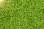 Green Grass Background Stock Photo