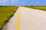 Landscape In Botswana Stock Photo