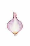 Shallots Still Life White Background Stock Photo