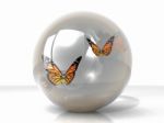 Butterfly In A Bubble Stock Photo