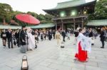 Tokyo,japan-nov 20 :a Japanese Wedding Ceremony At Meiji Jingu S Stock Photo