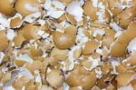 Image Of Crushed Egg Shells Backgrounds. Crack The Egg Stock Photo