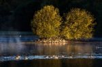 Early Morning At Weir Wood Reservoir Stock Photo