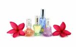 The Red Flowers And Orange,blue,green,violet Perfume Bottles Stock Photo