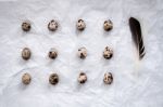 Quail Eggs Flat Lay Still Life With Food Stylish Stock Photo