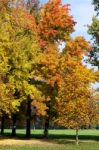 Autumn Tints In Parco Di Monza Italy Stock Photo