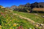 Logan Pass, Glacier National Park, Usa Stock Photo