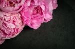 Peonies  On The Black Stone Background Horizontal Stock Photo