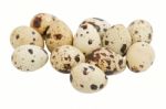 Quail Eggs Stock Photo