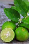 Limes Stock Photo