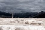 Mammoth Hot Springs Stock Photo