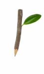 Wooden Pencil Stock Photo