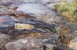 Lagoon In National Park 1 Stock Photo