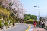 Seoul,korea - April 11 : Cherry Blossom In Seoul Tower Namhansan. Tourists Taking Photos Of The Beautiful Scenery Around Seoul Tower Namhansan In Seoul,korea On April 11,2015 Stock Photo