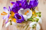 Bunch Of Spring Flowers. Crocus And Snowdrops On The Wooden Back Stock Photo