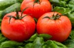 Tomato And Basil Stock Photo