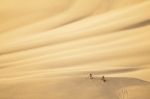 Sand Dune With People Stock Photo