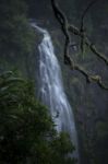 Morans Falls In Tamborine Mountains Stock Photo