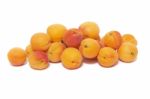 Armenian Plums (prunus Armeniaca) Stock Photo