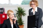 Woman Attending Call With Colleague Stock Photo